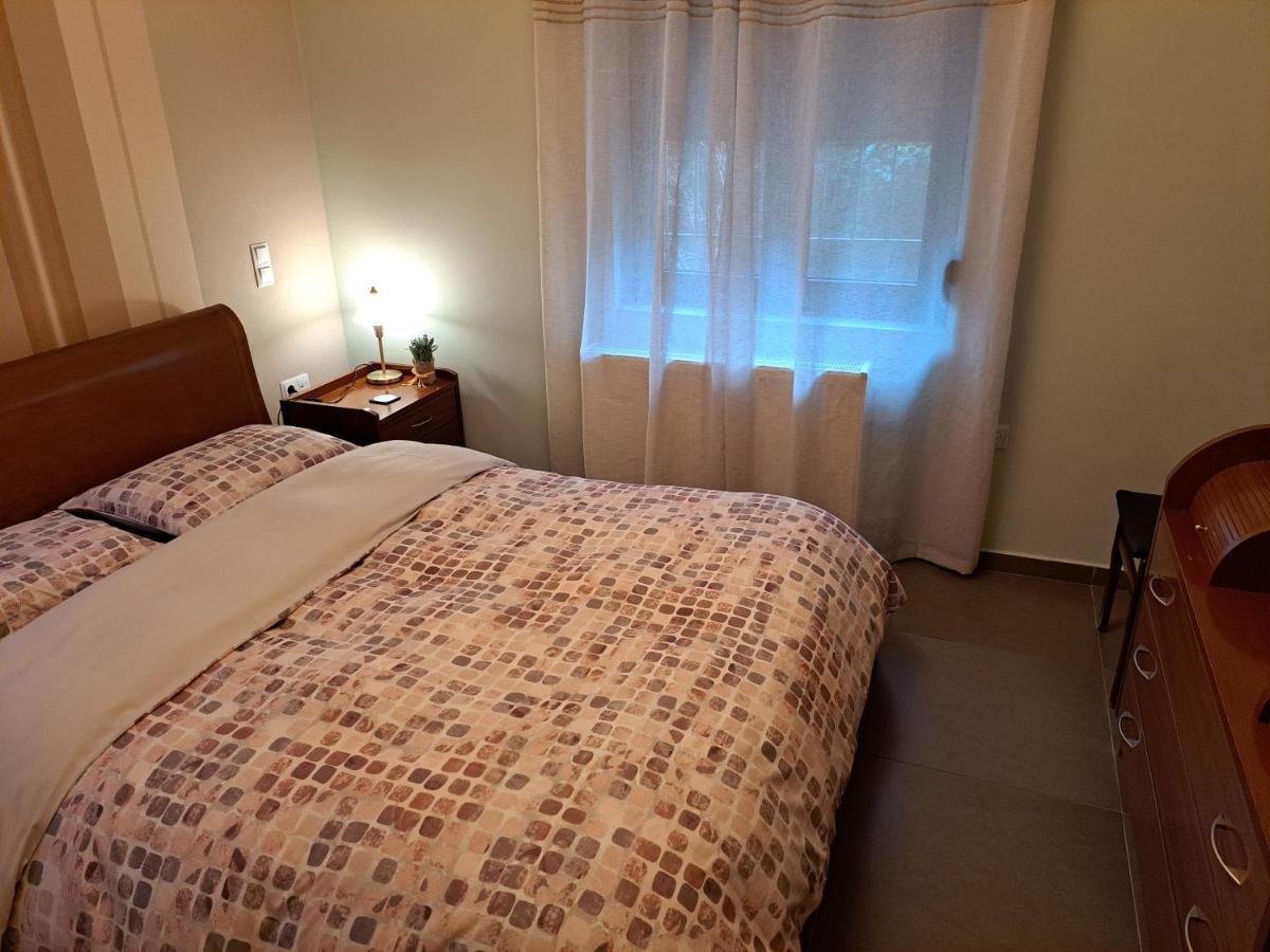 Modern Residence In The Center Of Trikala Екстериор снимка